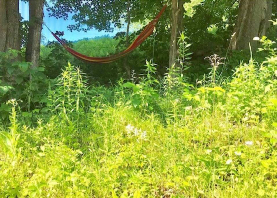 Sadawga Springs Retreat Holiday home